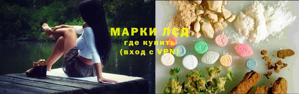 ПСИЛОЦИБИНОВЫЕ ГРИБЫ Баксан