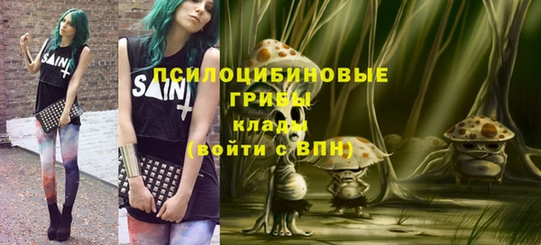 ПСИЛОЦИБИНОВЫЕ ГРИБЫ Баксан