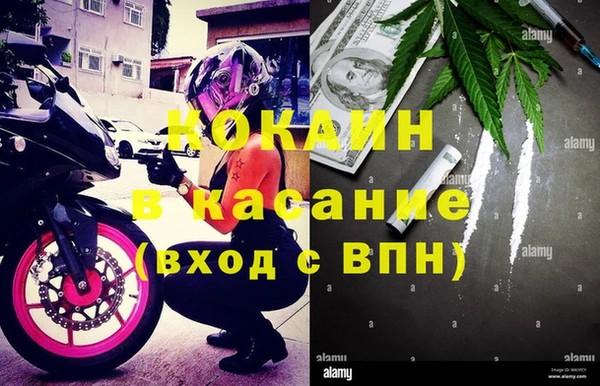 ПСИЛОЦИБИНОВЫЕ ГРИБЫ Баксан